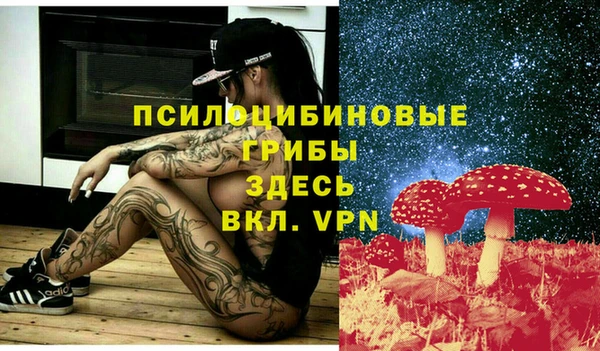 кокс Бородино