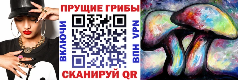 Галлюциногенные грибы ЛСД Балашиха